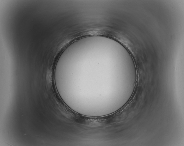 X0000116140297200911231317