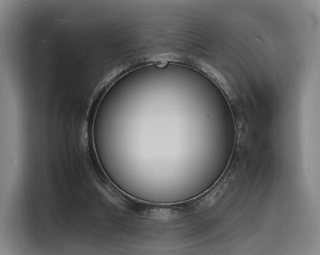 X0000116140298200911231317