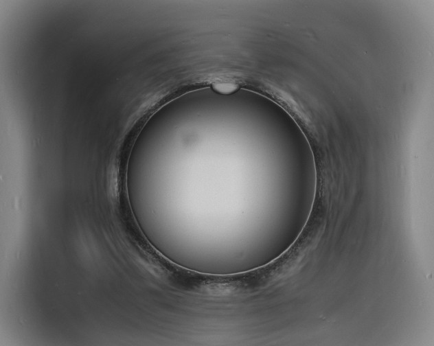 X0000116140299200911231317