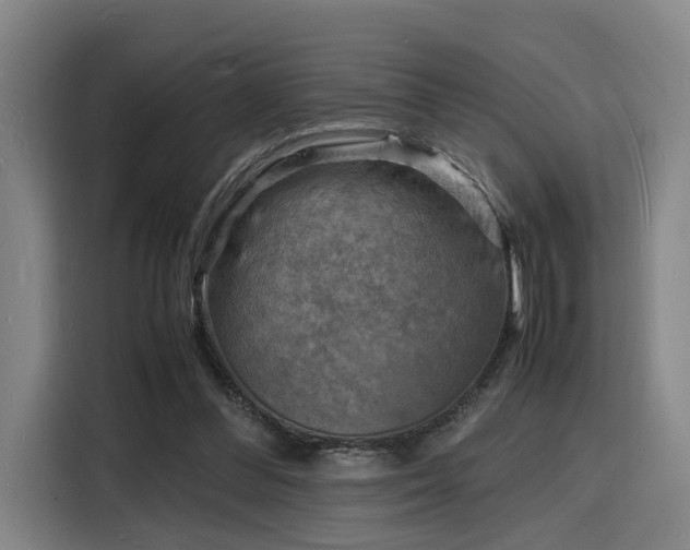 X0000116140300200911231316