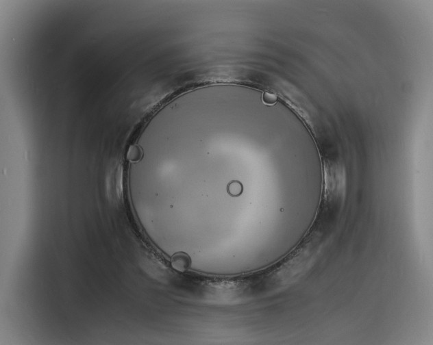 X0000116140301200911231316