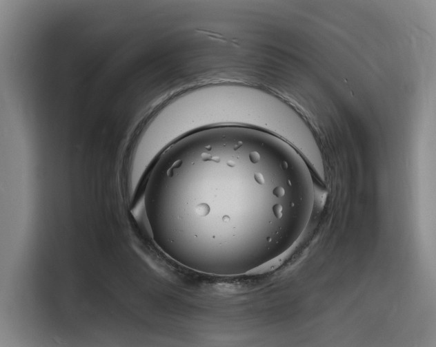X0000116140302200911231316