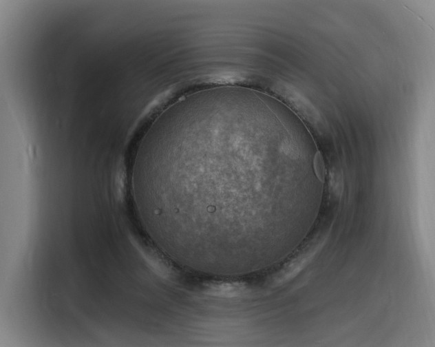 X0000116140304200911231316