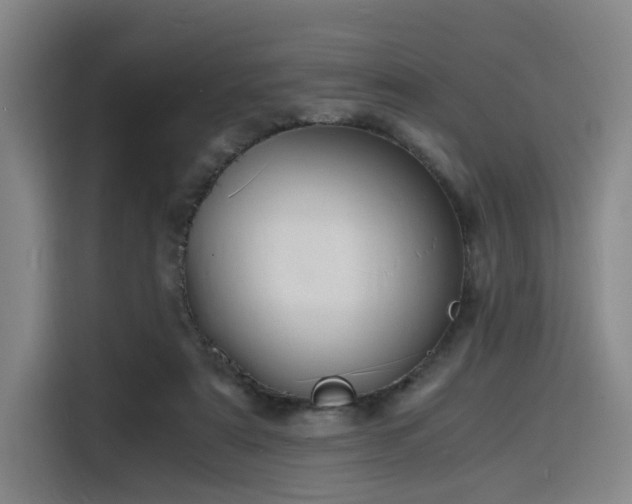 X0000116140307200911231316
