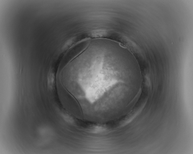 X0000116140308200911231316