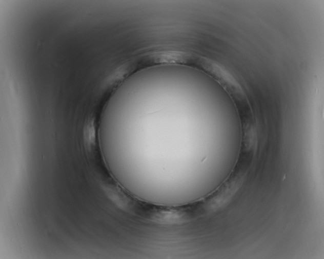 X0000116140310200911231316