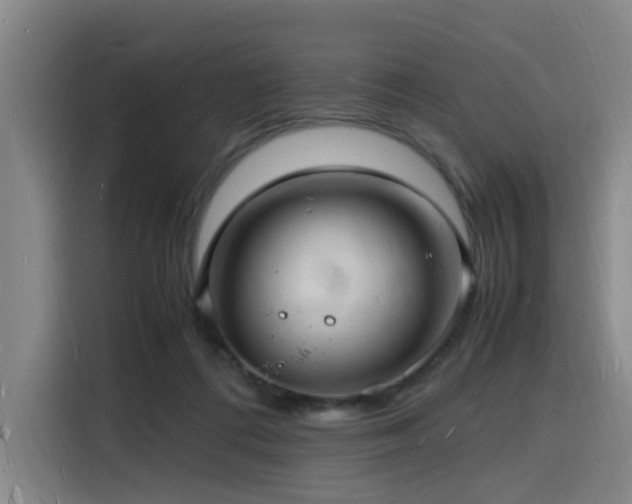X0000116140312200911231316