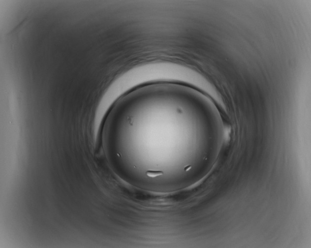 X0000116140316200911231316