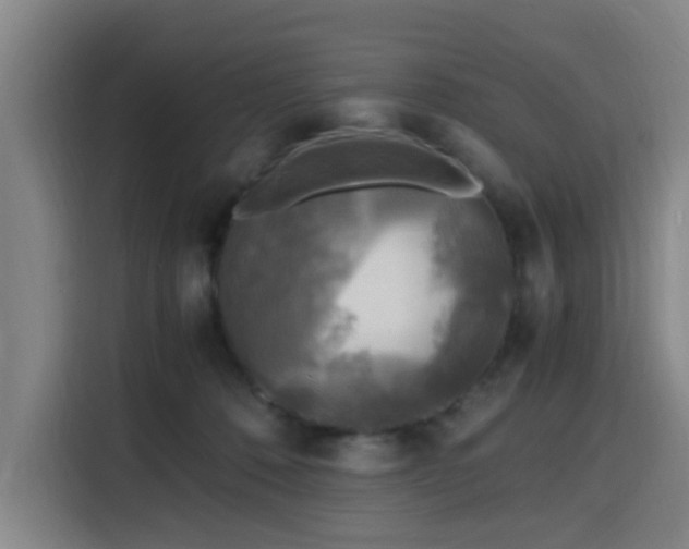 X0000116140320200911231316