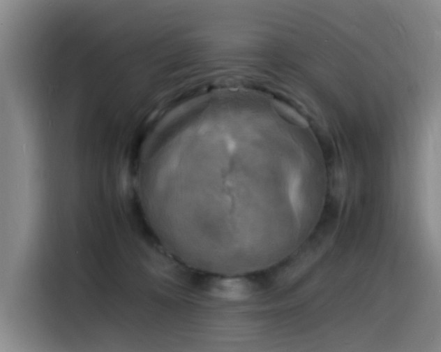 X0000116140324200911231316
