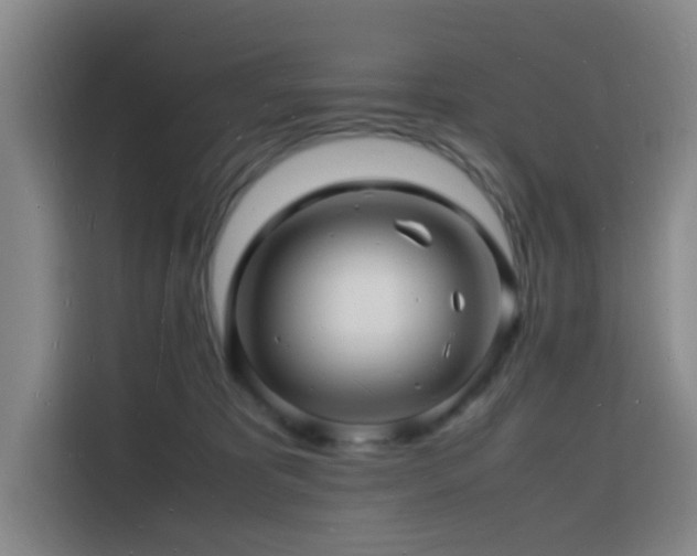 X0000116140325200911231316