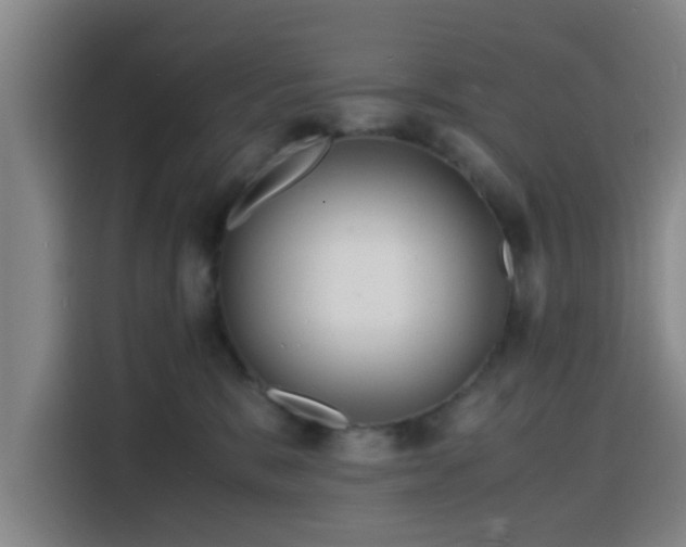 X0000116140327200911231316
