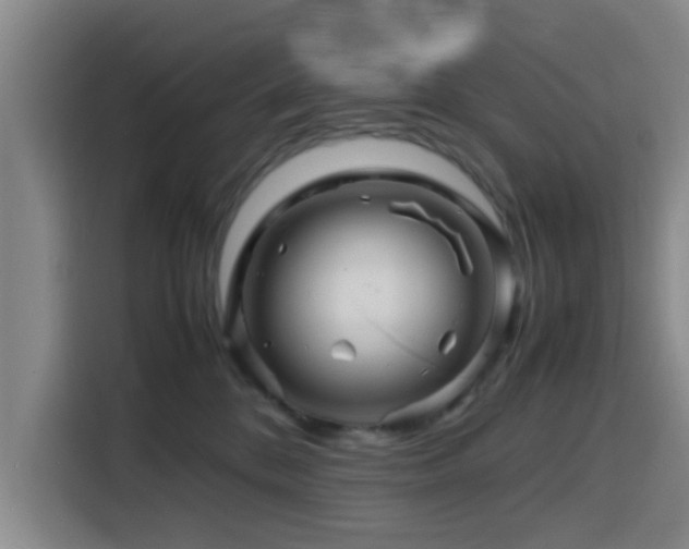 X0000116140328200911231316