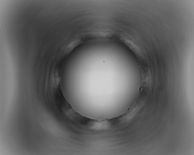 X0000116140334200911231316
