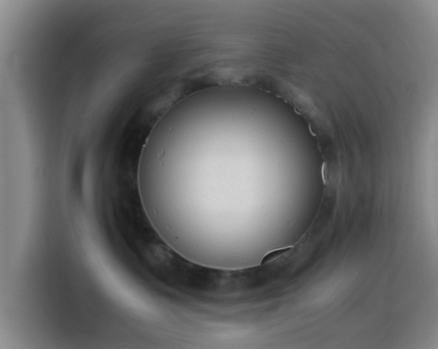 X0000116140335200911231316