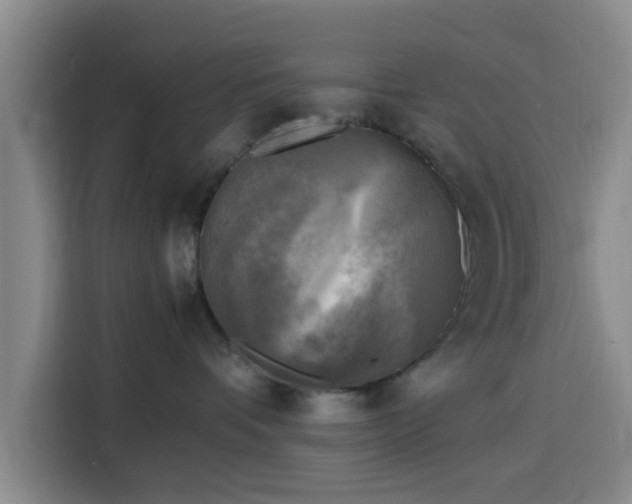 X0000116140336200911231316