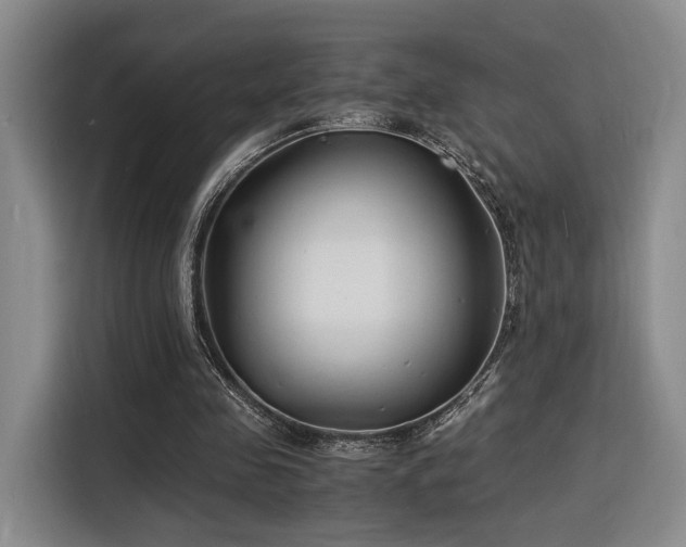X0000116140341200911231315