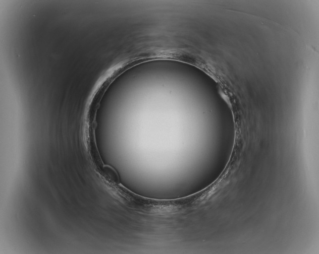 X0000116140342200911231315