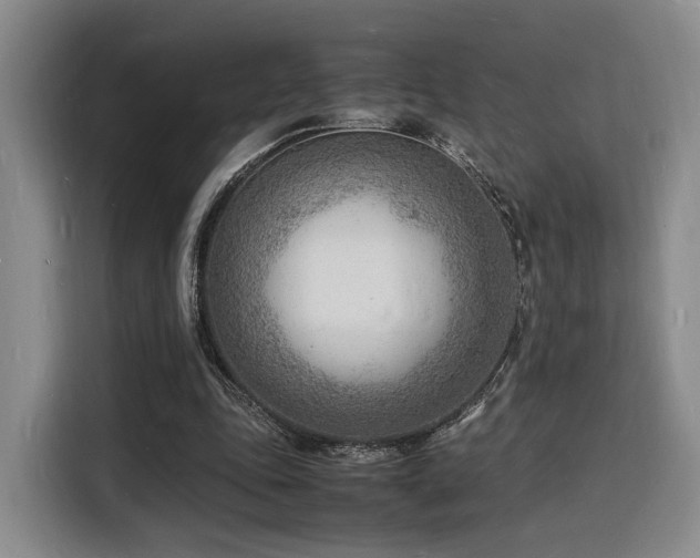 X0000116140343200911231315