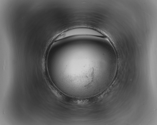 X0000116140345200911231316