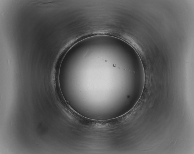 X0000116140346200911231316