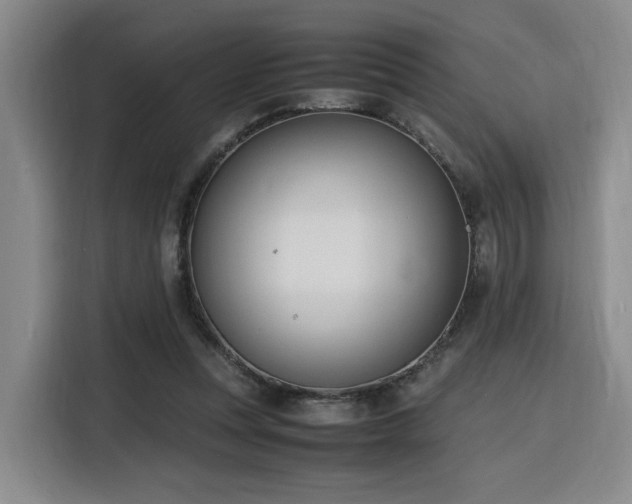 X0000116140351200911231316