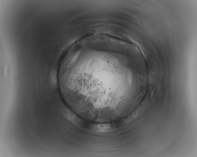 X0000116140353200911231316