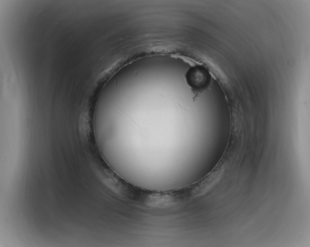 X0000116140354200911231316