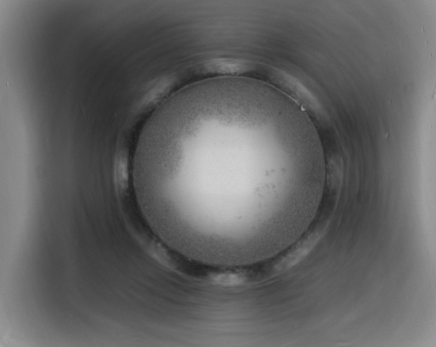 X0000116140358200911231316