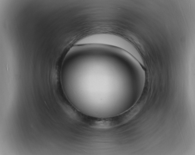 X0000116140362200911231316