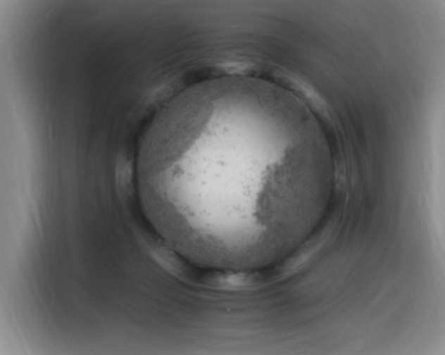 X0000116140365200911231316