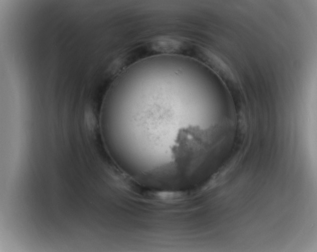 X0000116140371200911231316
