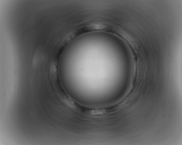 X0000116140373200911231316