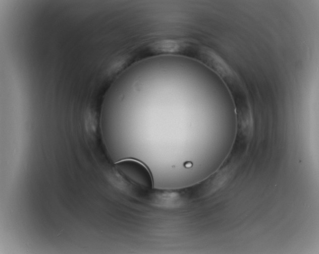 X0000116140374200911231316