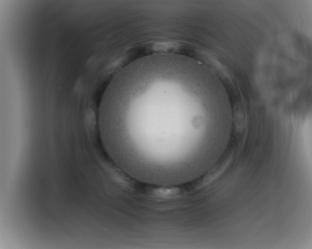 X0000116140375200911231316