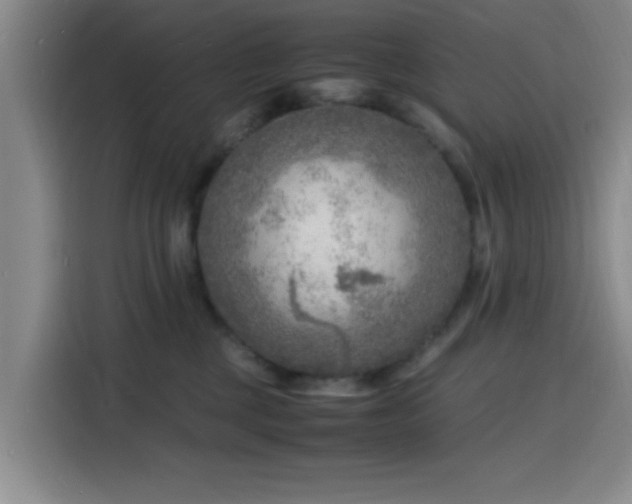 X0000116140377200911231316