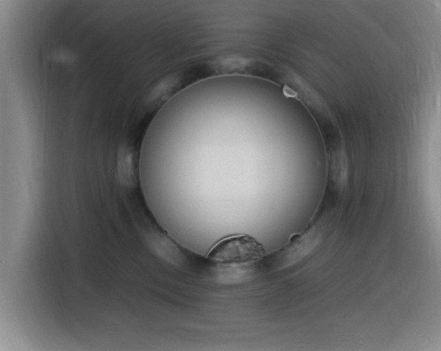 X0000116140378200911231316