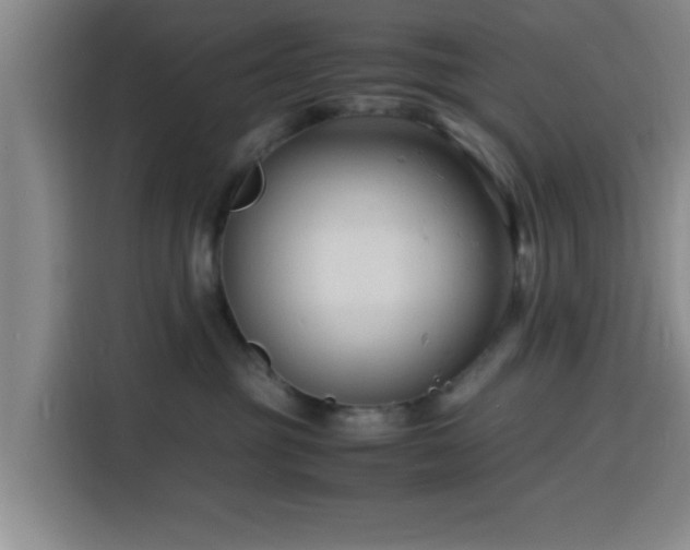 X0000116140381200911231316