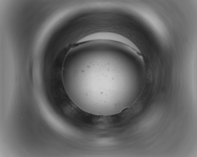X0000116140383200911231316