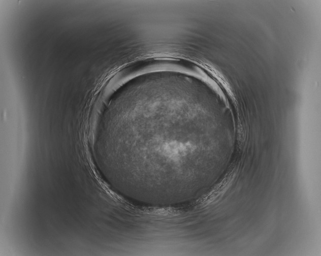 X0000116140385200911231315