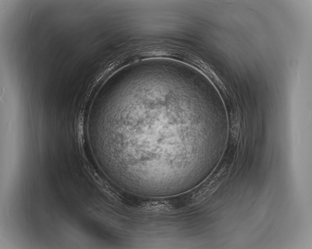 X0000116140386200911231315