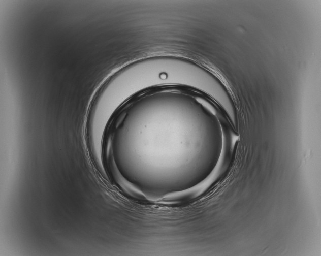 X0000116140387200911231315