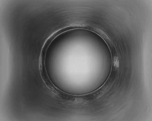 X0000116140388200911231315