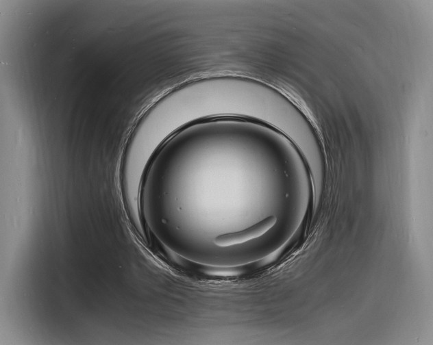 X0000116140389200911231315