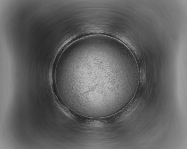 X0000116140390200911231315