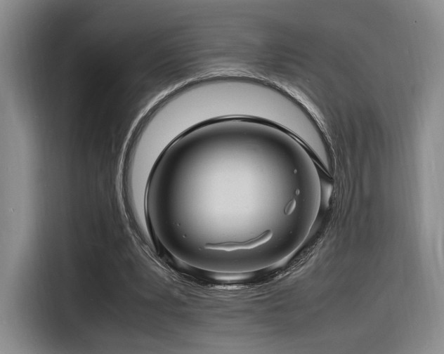X0000116140391200911231315
