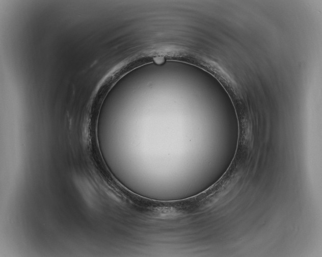 X0000116140392200911231315