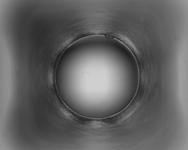 X0000116140393200911231315