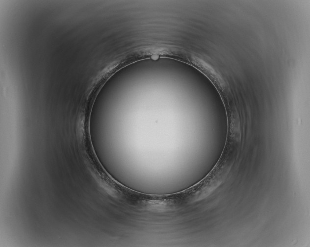 X0000116140394200911231315
