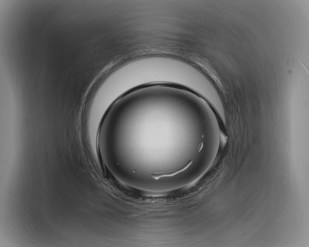 X0000116140395200911231315